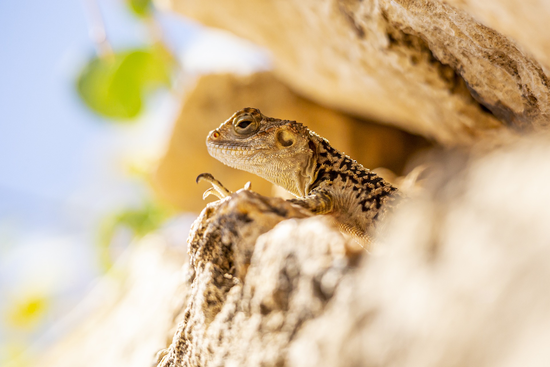 rock-4902937_1920