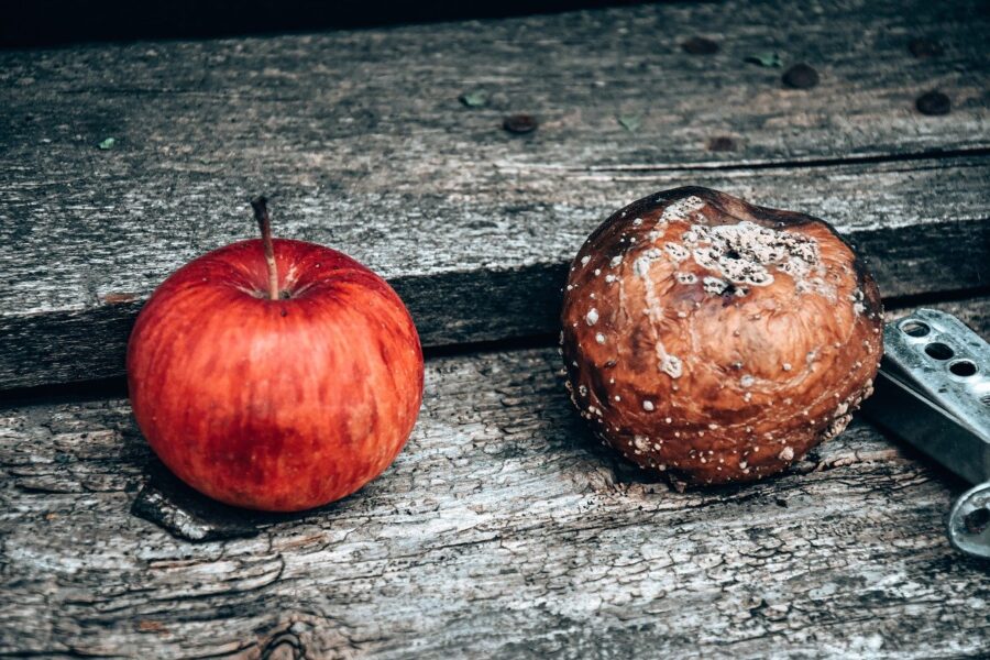 apples-6694486_1280