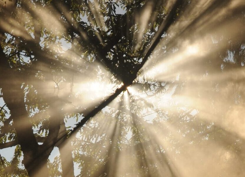 photo-1588406320565-9fa6d9901d1d