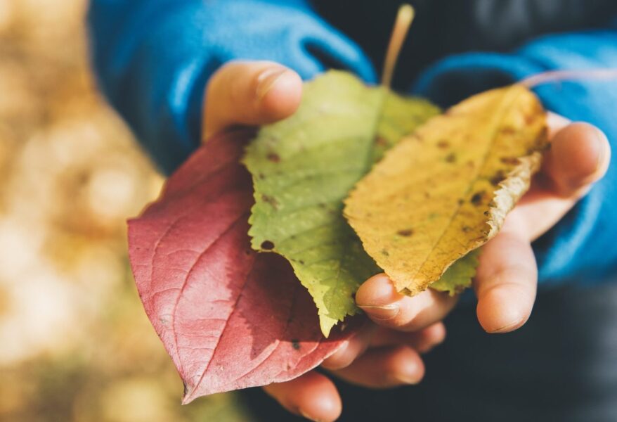 photo-1510125750144-795c2b0737ba