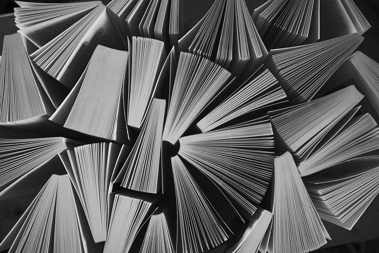 Análise comparativa doutrinária das edições de A Gênese, por Marco Milani Imagem de Mirko Stödter por Pixabay