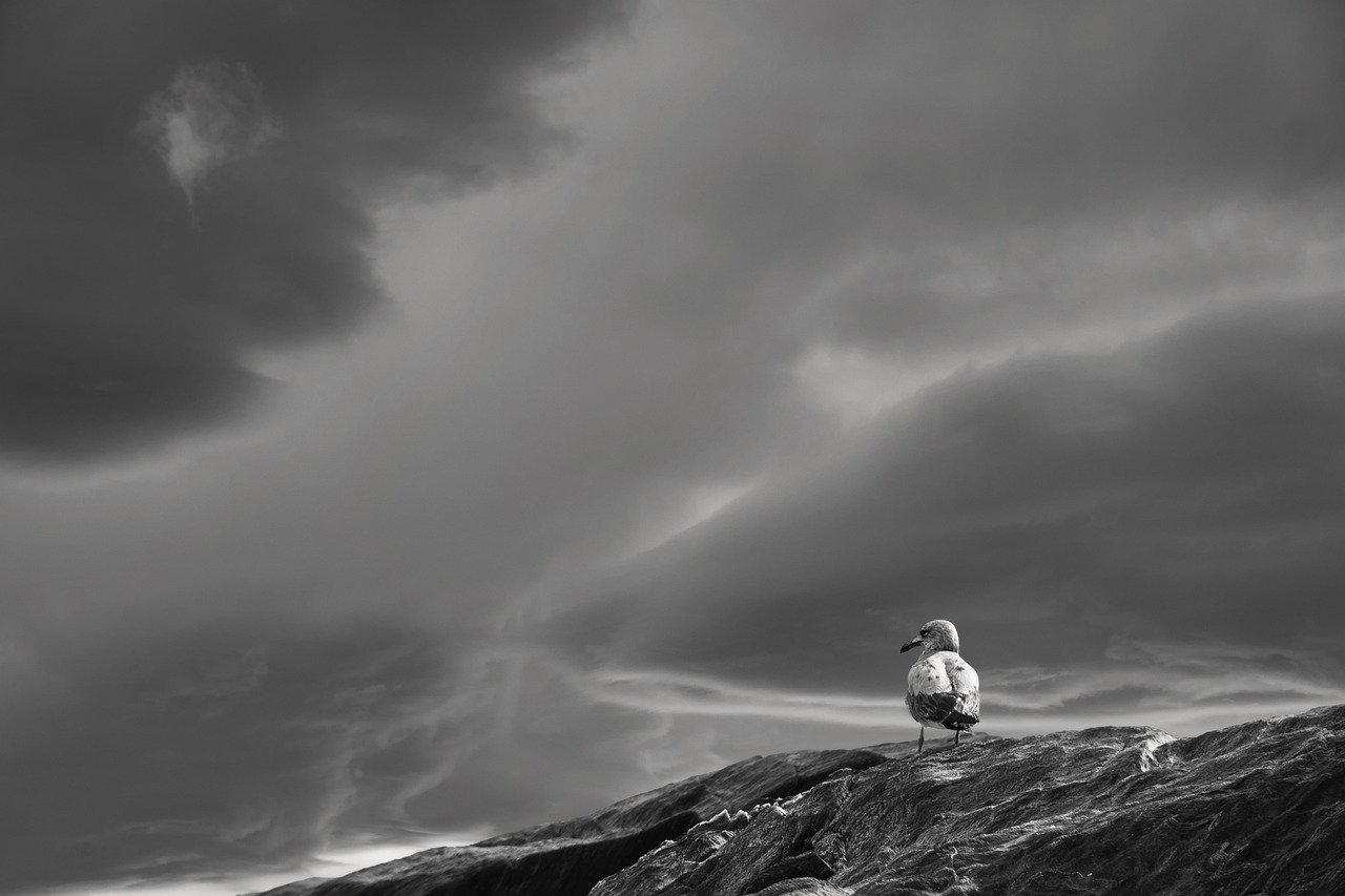 landscape-8386050_1280