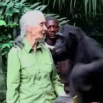 Ciência Humana e Ciência Espírita: a necessária completude, por Sidnei Batista