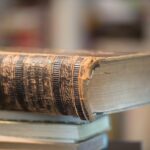 A bíblia uniformizada: em que medida esse entendimento legal pode afetar o exercício do Espiritismo