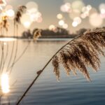 Um novo ano: entre provas, expiações e a possibilidade de bem-estar, por André Marouço