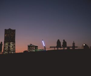 Reflexões na madrugada, por Valéria Ledoux silhouette-4332215_1280