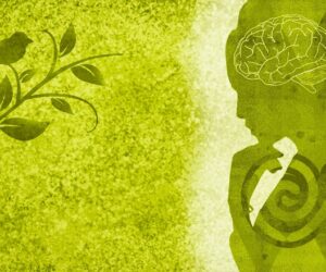 Amor, Caridade e Regeneração: Um Chamado à Sustentabilidade e à Fraternidade Universal, por Cesar Boschetti woman-5488458_1280