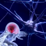 O nó da consciência: por que a neurociência não consegue (e nem vai) explicar quem somos, por Wilson Garcia