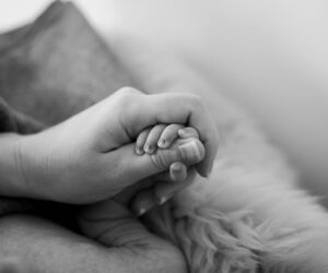 Ode à Mãe, por Marcelo Henrique rebeccaspictures-hands-6831944_640